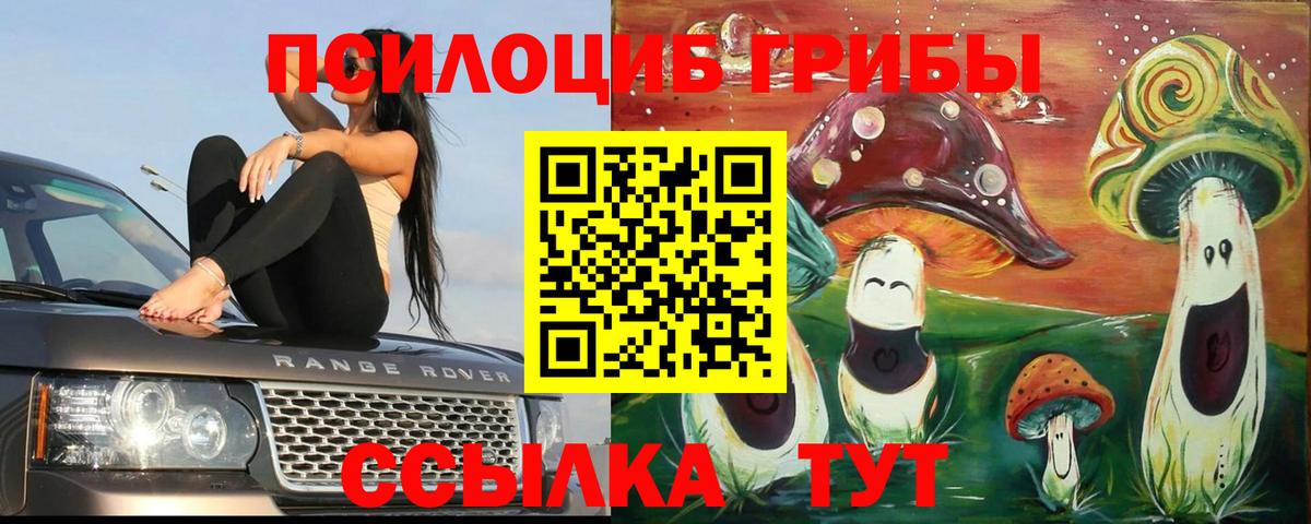 Бошки Шишки  Кокаин  МЕФ кристаллы  Гашиш  Приморско-Ахтарск  Вход с VPN 