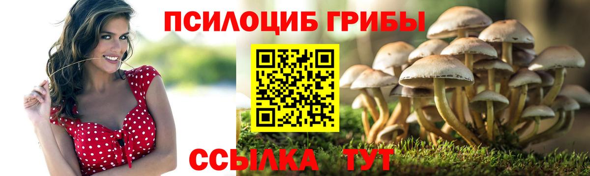 Псилоцибиновые грибы GOLDEN TEACHER  Вход с VPN  Псилоцибиновые грибы MAGIC MUSHROOMS  Приморско-Ахтарск 